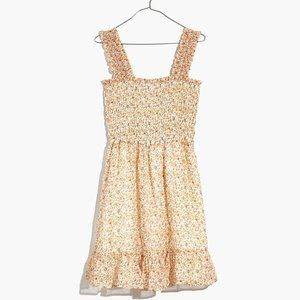 Madewell Seersucker Lucie Floral Mini Dress